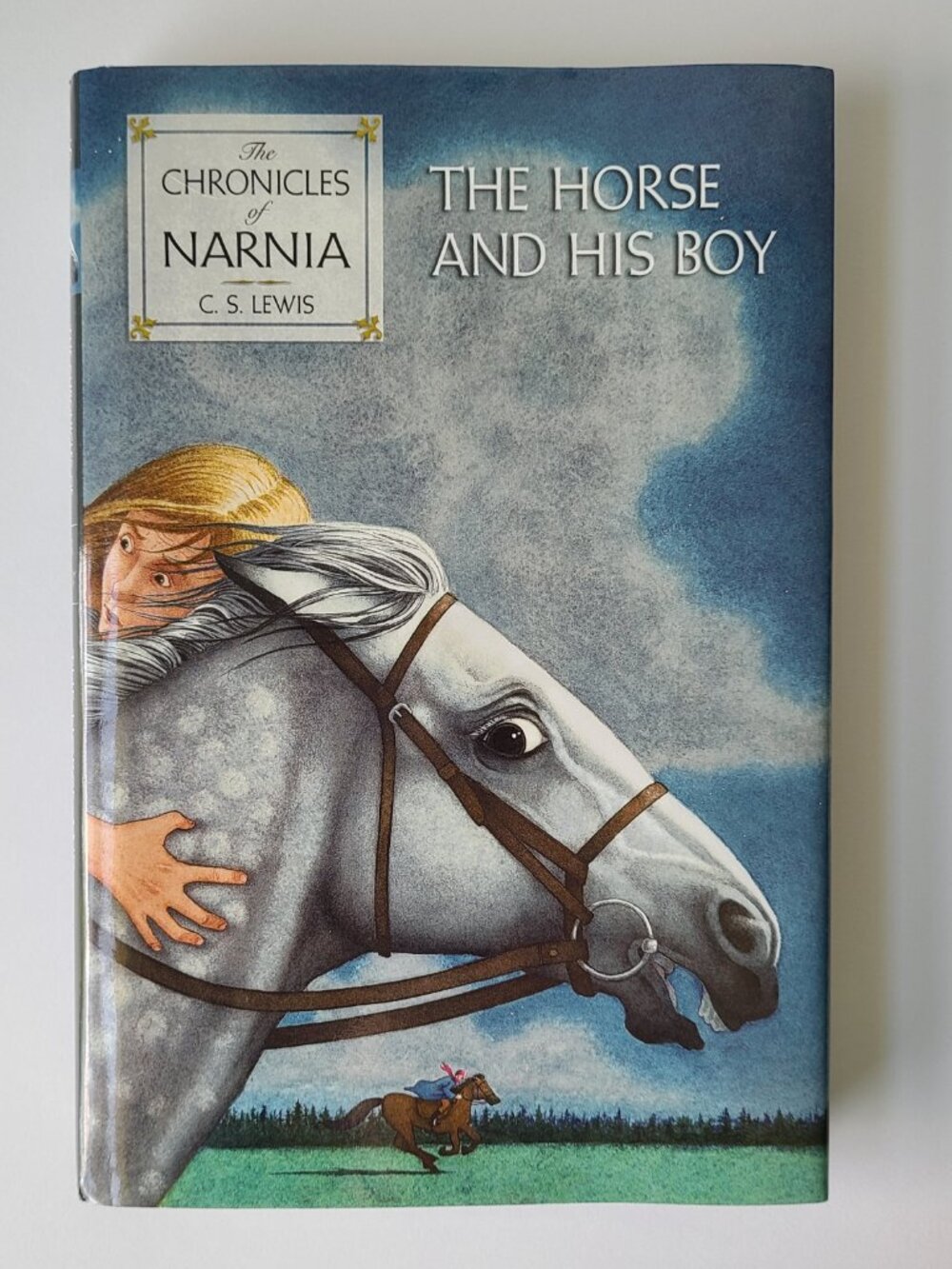 5/$15 Kids Book Horse & His Boy Narnia 5 HCDJ 1994 CS Lewis Lion Witch Wardrobe
